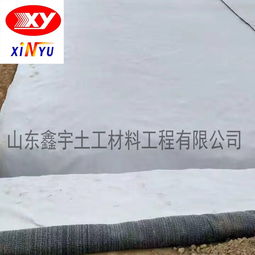 劣质天然钠基膨润土防水毯在长春地区的表现与风险分析