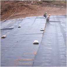 修建水塘莲藕养殖场该如何选择土工防水材料？以河南应用为例